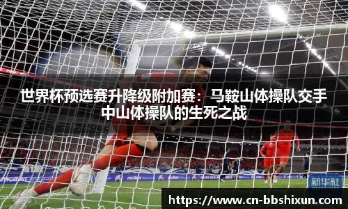 BB视讯官方网站